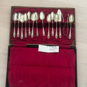 Elegant Silver Spoon Set with Case